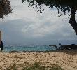 Traveller picture - Gran Bahia Principe Cayo Levantado
